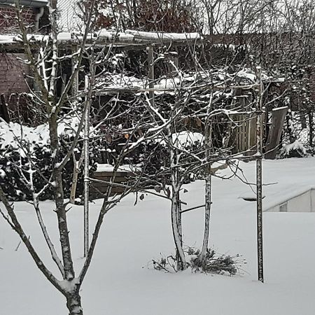 Chambre D'Hotes Beesel Reuver Eksteriør bilde
